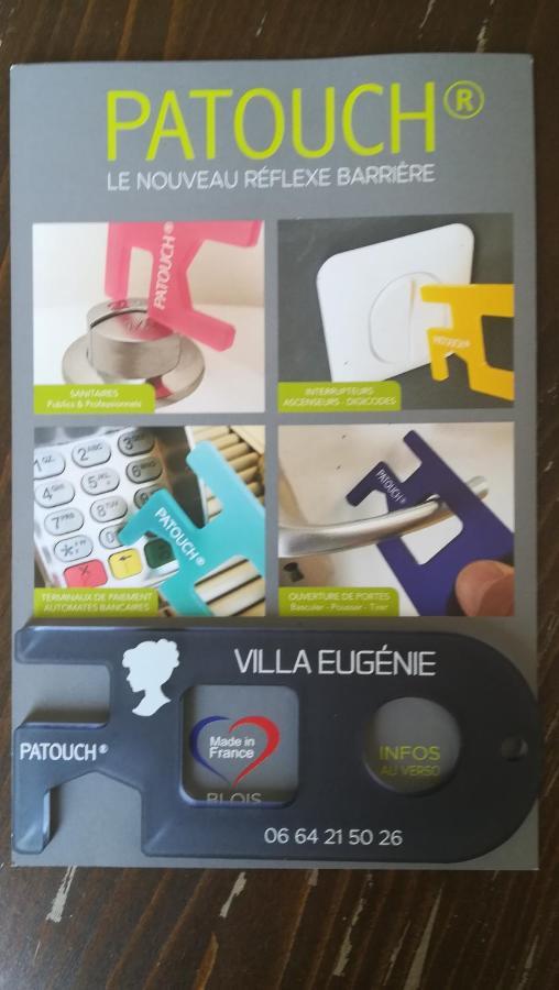 Villa Eugenie Onzain Zewnętrze zdjęcie